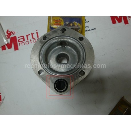 Torica Grande Culata Carpi