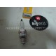 Bujia NGK CR7HSA PIT BIKE QUAD ATV MINIMOTO