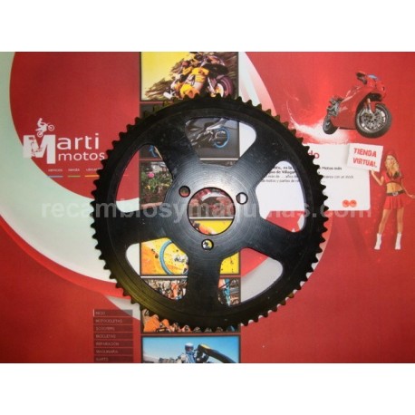 Catalina minimoto carretera