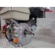 MOTOR PIVA 6.5 cv con Polea honda gx compatible piva