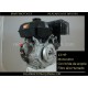 Motor motocultor segadora 13 HP lombardini intermotor minsel acme iame cotieme kohler vanguard lga ca 180 220 225 226 250