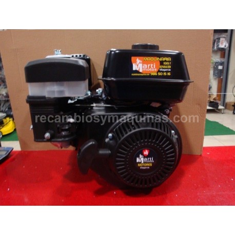 Motor gasolina motoazada EJE estriado garland sportgarden TM900G