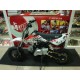 Pit bike Automática (Sin Marchas solo GAS)