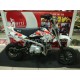Pit bike Automática (Sin Marchas solo GAS)