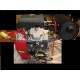 MOTOR BICILINDIRCO 22 HP A.E. COMPATIBLE HONDA GX 360 390 620 630 670 690 KIPOR KAMA VANGUARD 18 20 CV SUBARU EH65 VXF