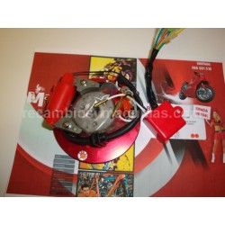 Rotor PITBIKE 125cc competicion