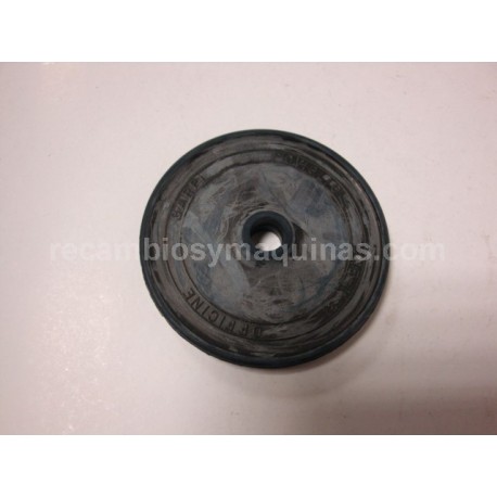 Membrana piston bomba carpi